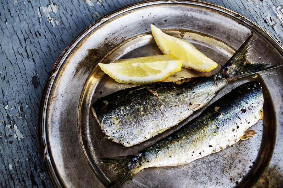 Frisk fisk Køb fisk online
