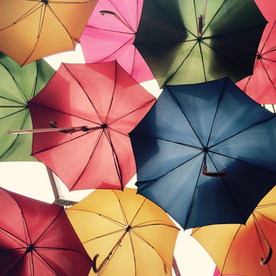 Paraplyer købes billigt her Stort udvalg og bedst i test