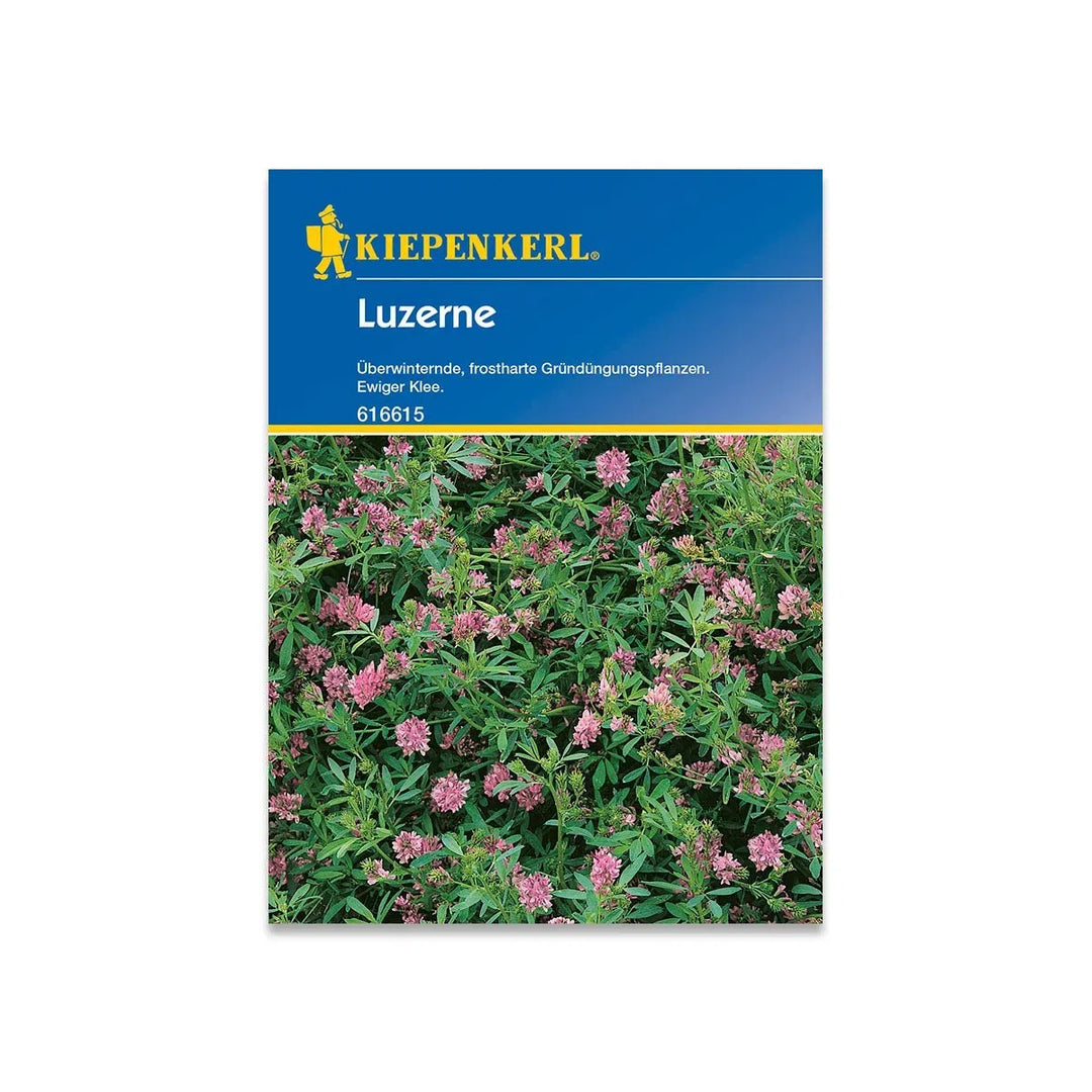 Lucerne 25 m2