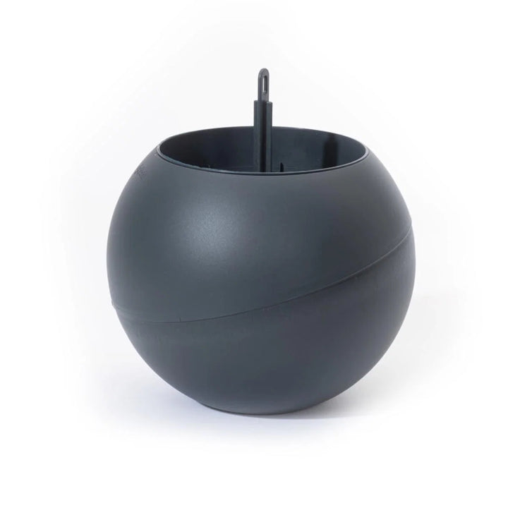 Globee selvvandingspotte Antracitgrå