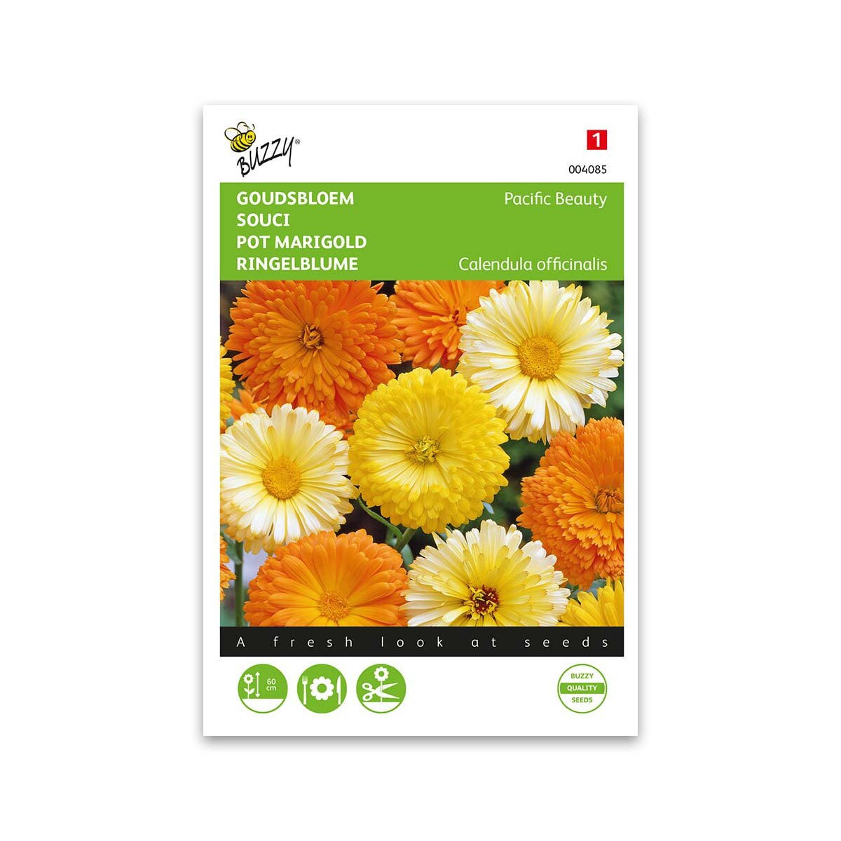 Produktbillede af Morgenfrue frø mix Pacific Beauty double mixed Buzzy på tilbud i høj kvalitet