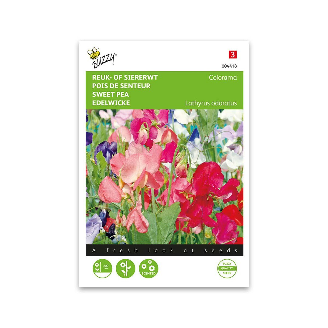 Produktbillede af Ærteblomst frø Colorama mix på tilbud i høj kvalitet