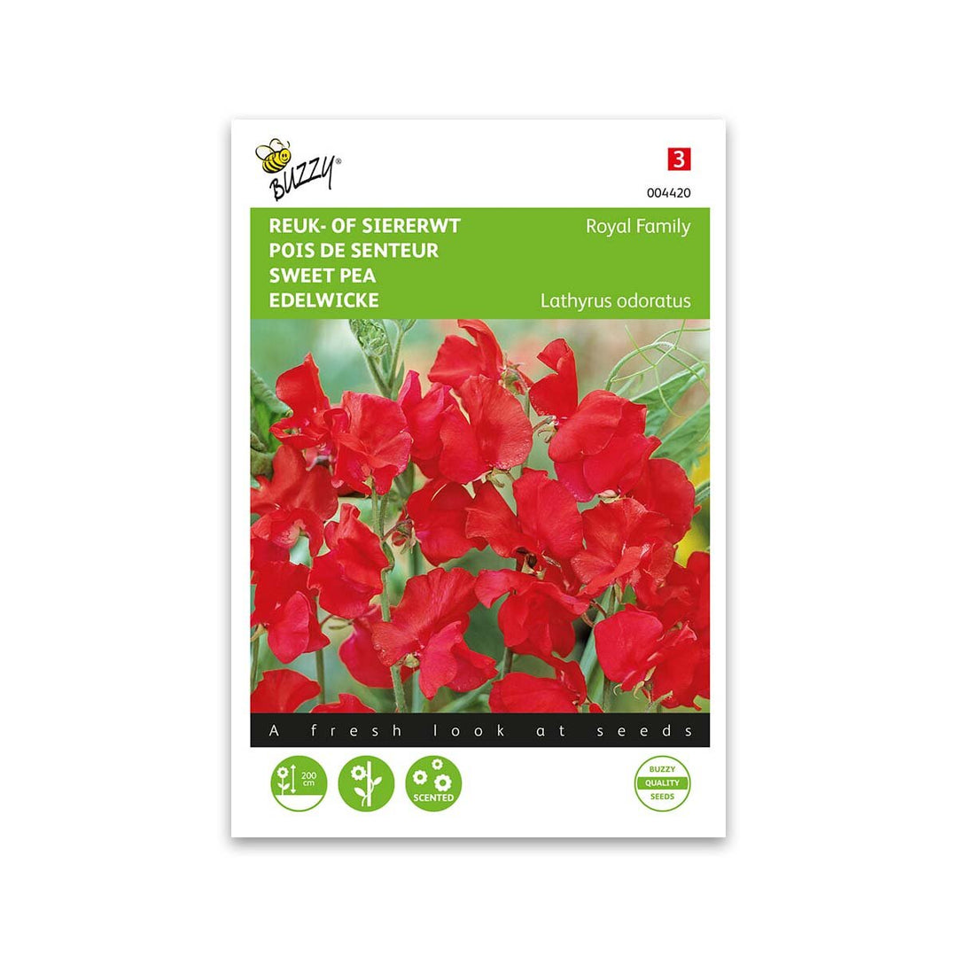 Produktbillede af Ærteblomst frø,Royal Family red på tilbud i høj kvalitet