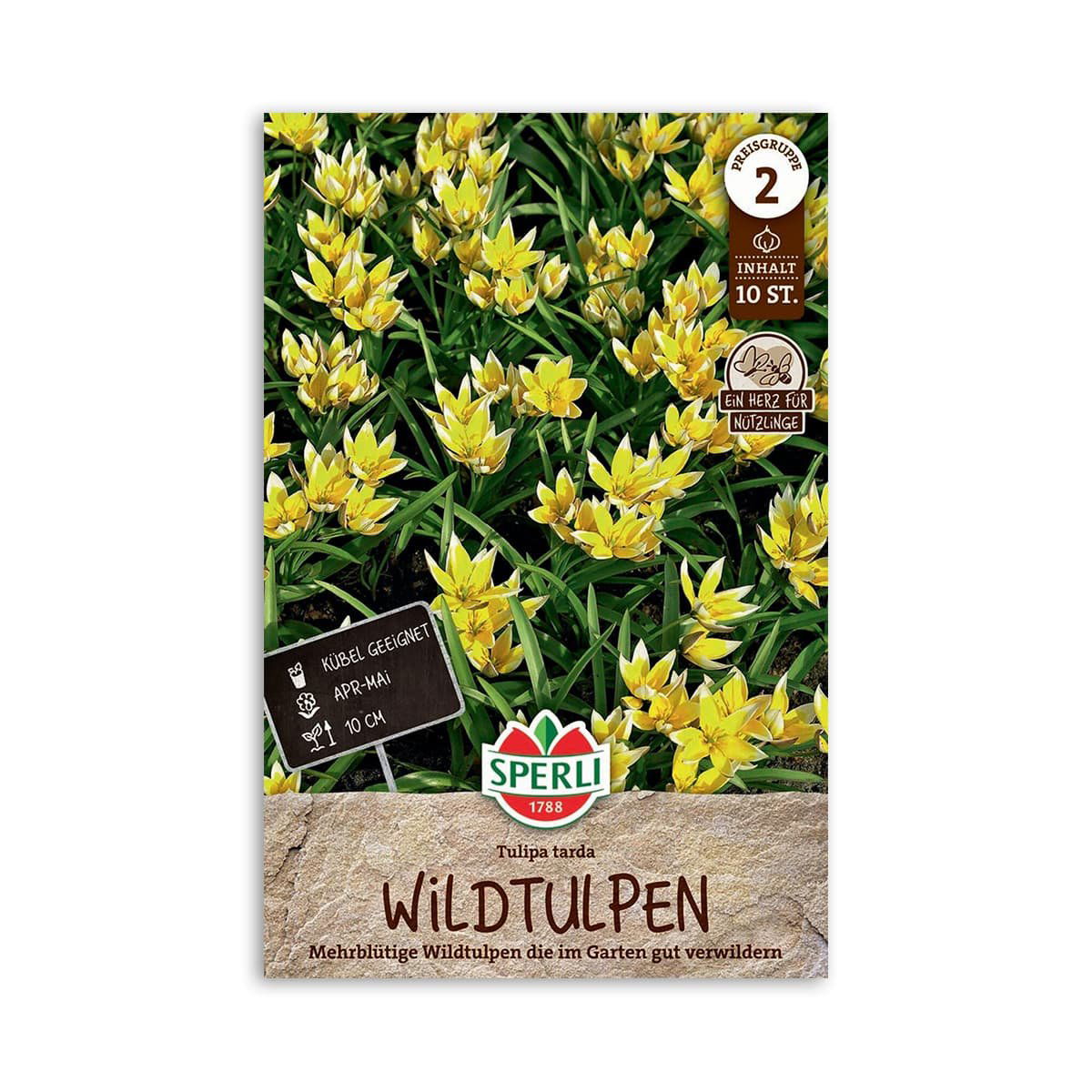 Produktbillede af Vild dværgtulipan Tulipa tarda 10 løg på tilbud i høj kvalitet