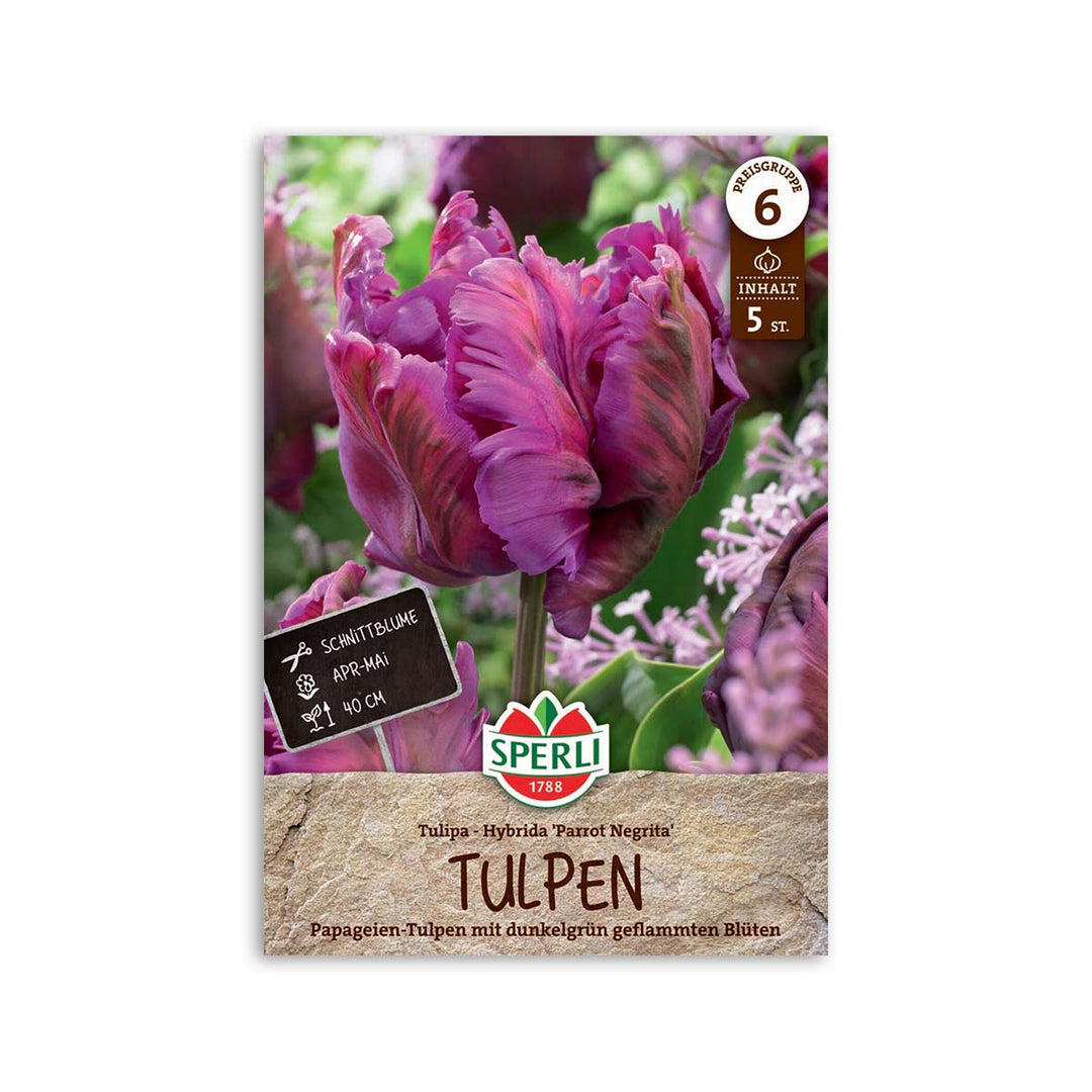 Produktbillede af Papegøje tulipan Parrot Negrita 5 løg på tilbud i høj kvalitet
