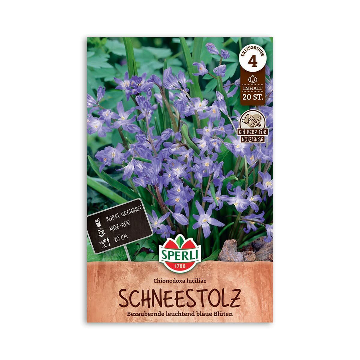 Produktbillede af Stor Snepryd Chionodoxa Luciliae 20 løg på tilbud i høj kvalitet