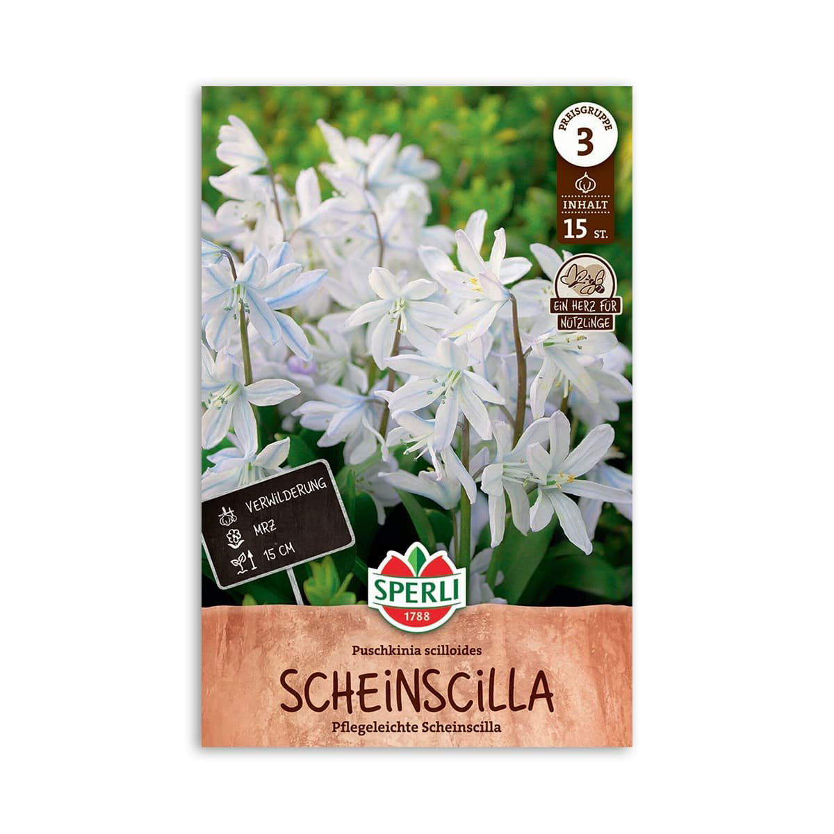 Produktbillede af Porcelænshyacint Puschkinia scilloides 15 løg på tilbud i høj kvalitet