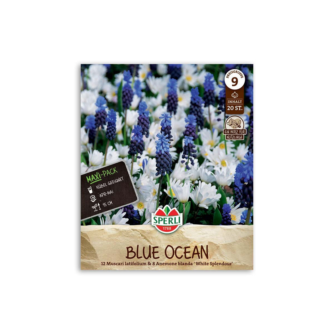 Produktbillede af Perlehyacint/anemone blanding Blue ocean 20 løg på tilbud i høj kvalitet