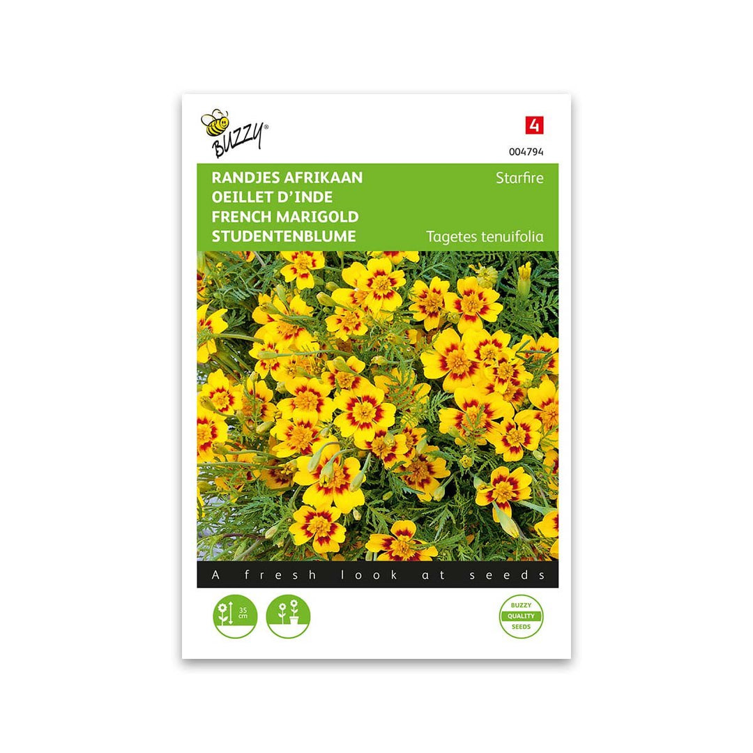 Produktbillede af Buzzy French Marigold Starfire på tilbud i høj kvalitet