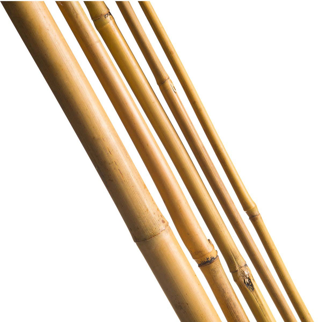 Produktbillede af Bambuspinde H60 cm Ø6-8 mm 10 stk på tilbud i høj kvalitet