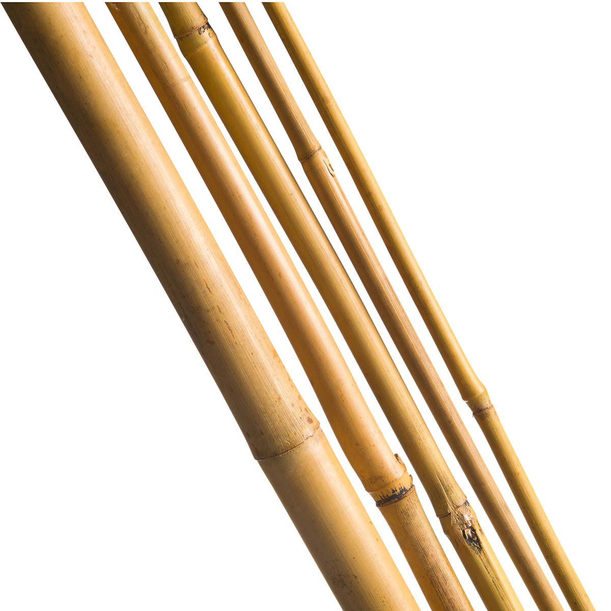 Produktbillede af Bambuspinde H60 cm Ø6-8 mm 10 stk på tilbud i høj kvalitet