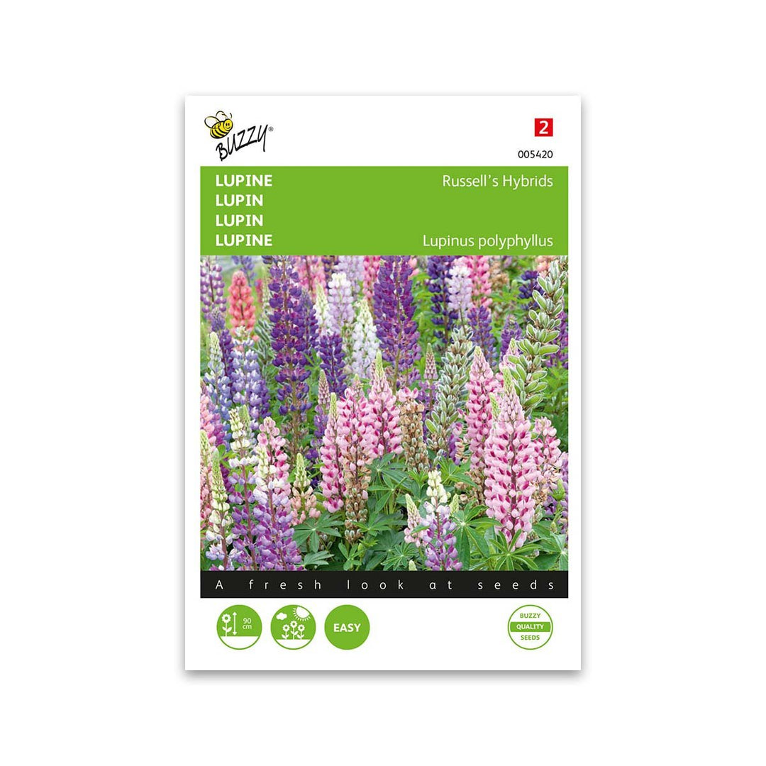 Produktbillede af Lupin frø Russells hybrids mix Buzzy på tilbud i høj kvalitet