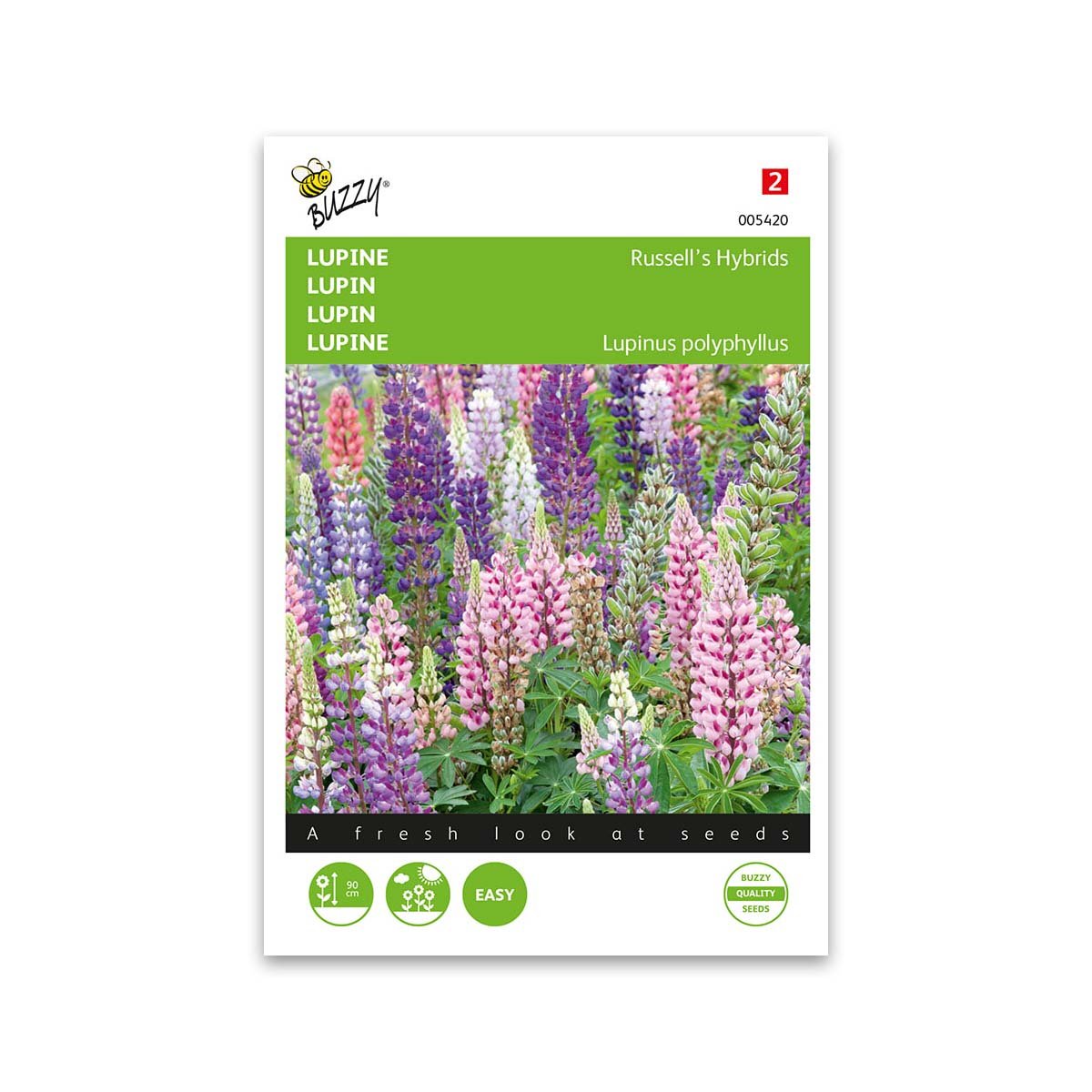 Produktbillede af Lupin frø Russells hybrids mix Buzzy på tilbud i høj kvalitet