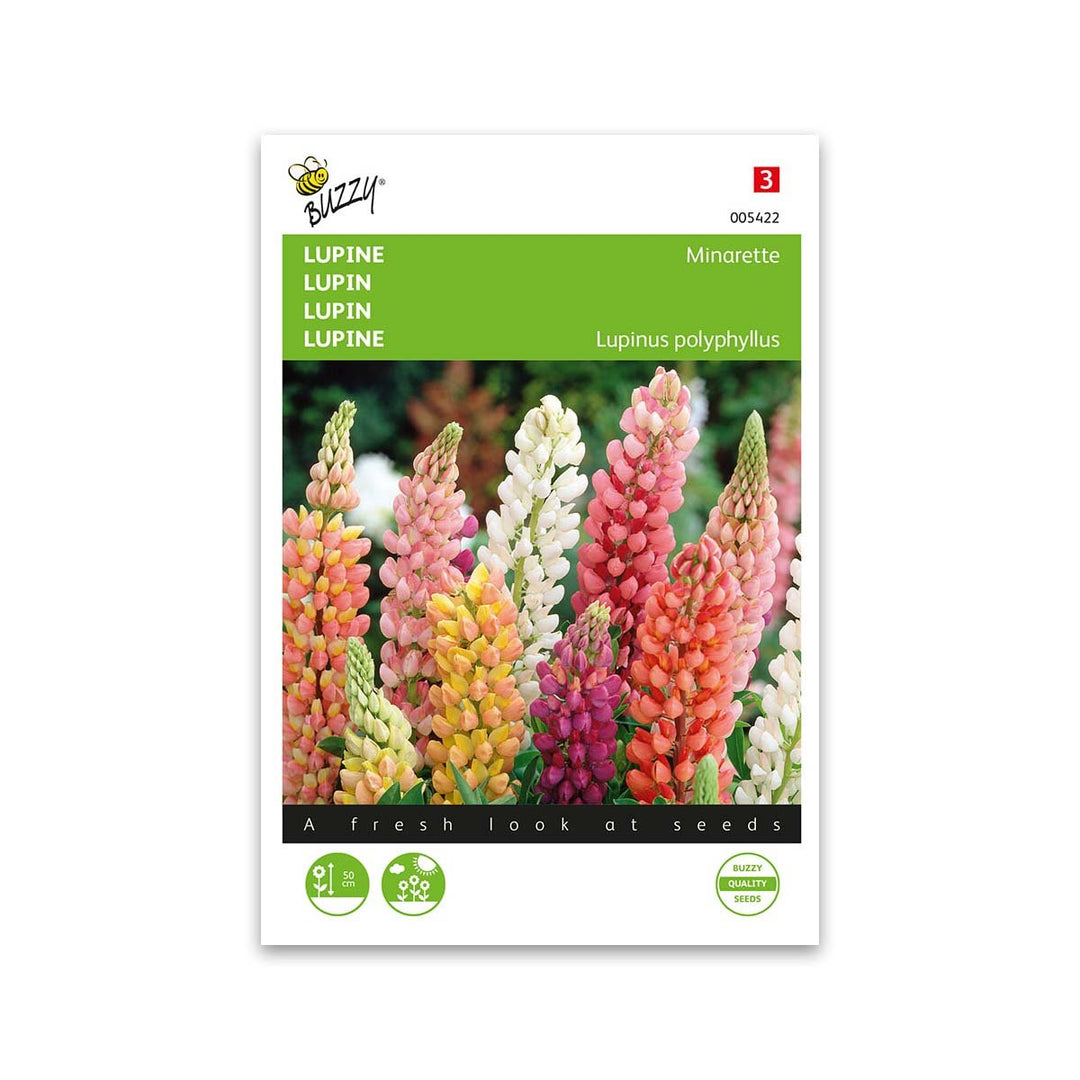Produktbillede af Lupin dværg blanding frø Minarette Buzzy på tilbud i høj kvalitet