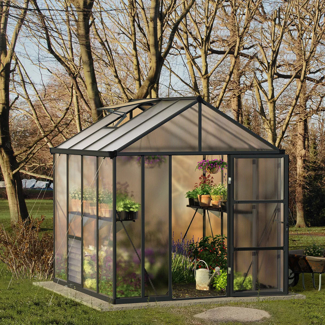 Drivhus Glory 6,2 m2 grå Palram Canopia