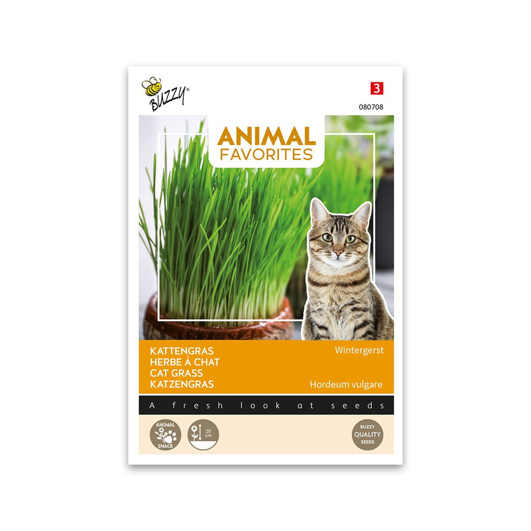 Produktbillede af Kattegræs frø 20g på tilbud i høj kvalitet