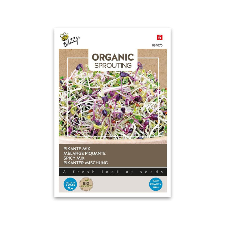 Produktbillede af Økologisk spicy salatmix spirer frø 30 g på tilbud i høj kvalitet