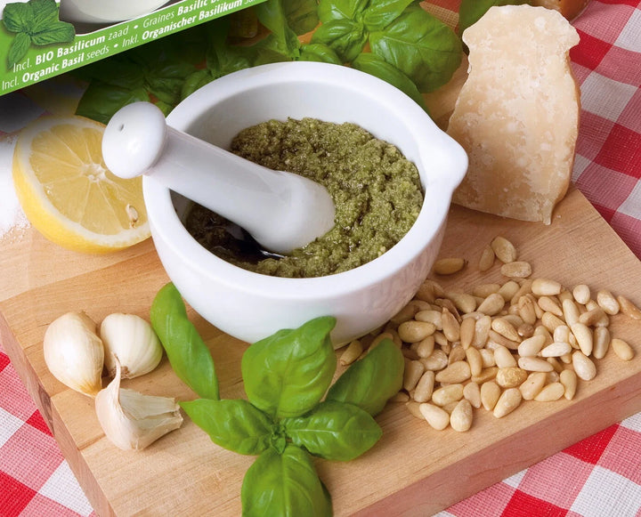 Dyrk selv pesto-kit