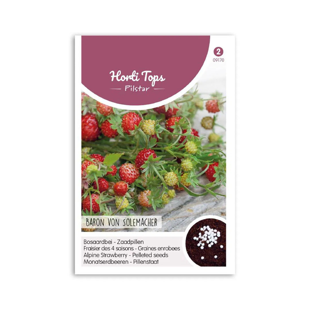 Skovjordbær såpille frø Baron von Solemacher