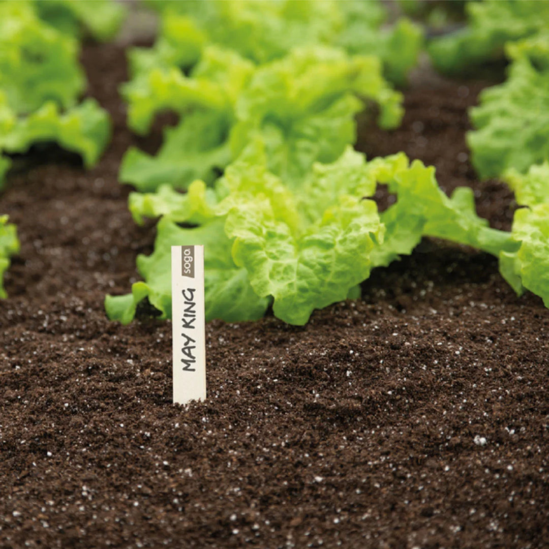 Plantepinde til blomster og grøntsager 10 cm 24 stk