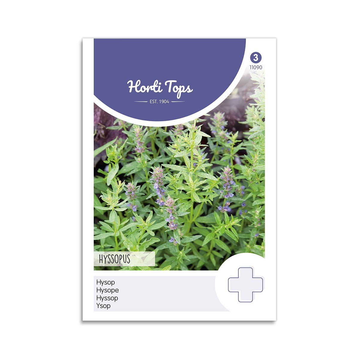 Produktbillede af Isop frø Hyssopus Officinalis  på tilbud i høj kvalitet