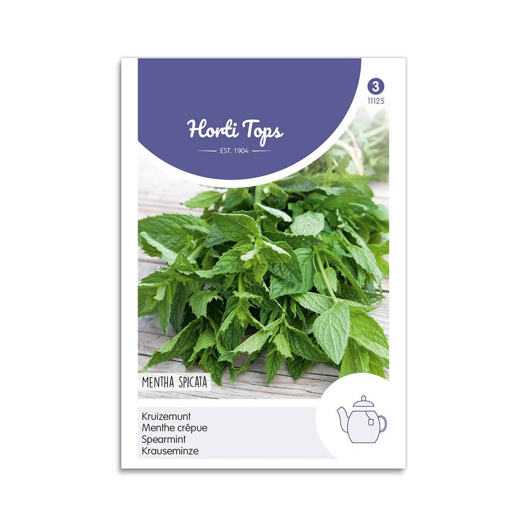 Produktbillede af Grøn mynte frø Spearmint  på tilbud i høj kvalitet