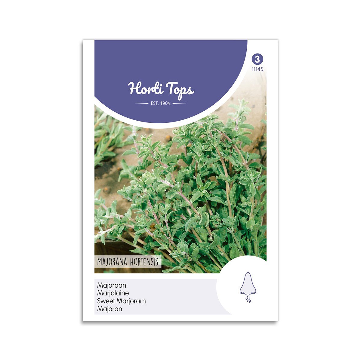 Produktbillede af Merian frø Majorana Hortensis  på tilbud i høj kvalitet