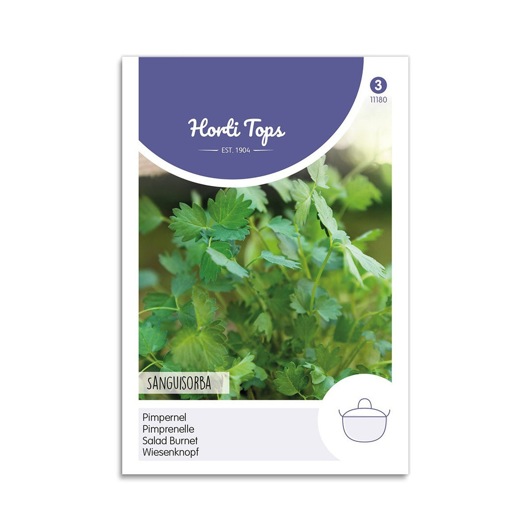 Produktbillede af Bibernelle frø Horti Tops på tilbud i høj kvalitet