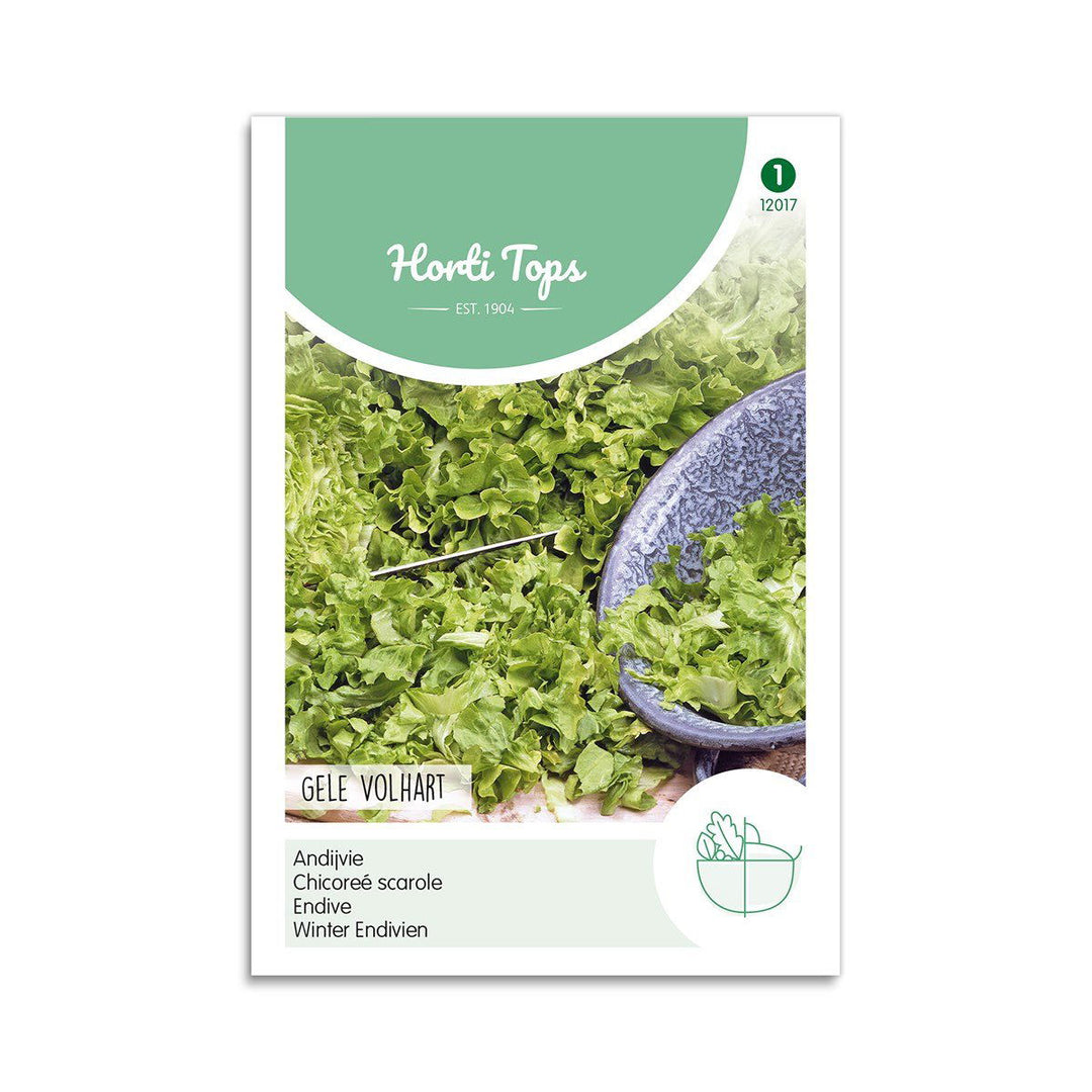 Produktbillede af Endiviesalat frø Blonde á coeur plein Horti Tops på tilbud i høj kvalitet