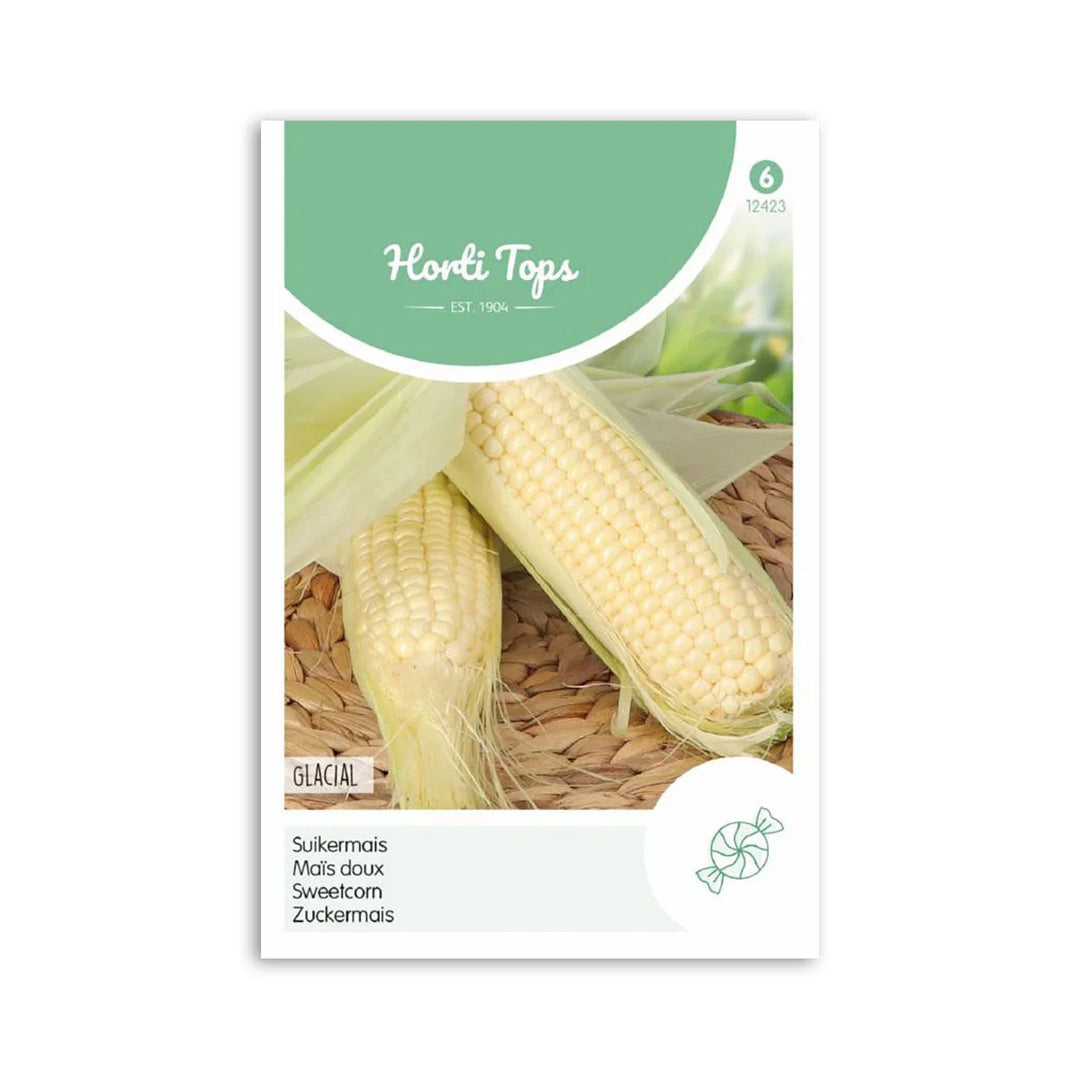Majs frø Glacial Horti Tops