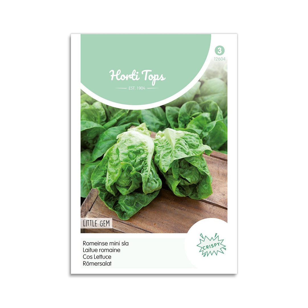 Produktbillede af Romainesalat frø Little Gem Horti Tops på tilbud i høj kvalitet