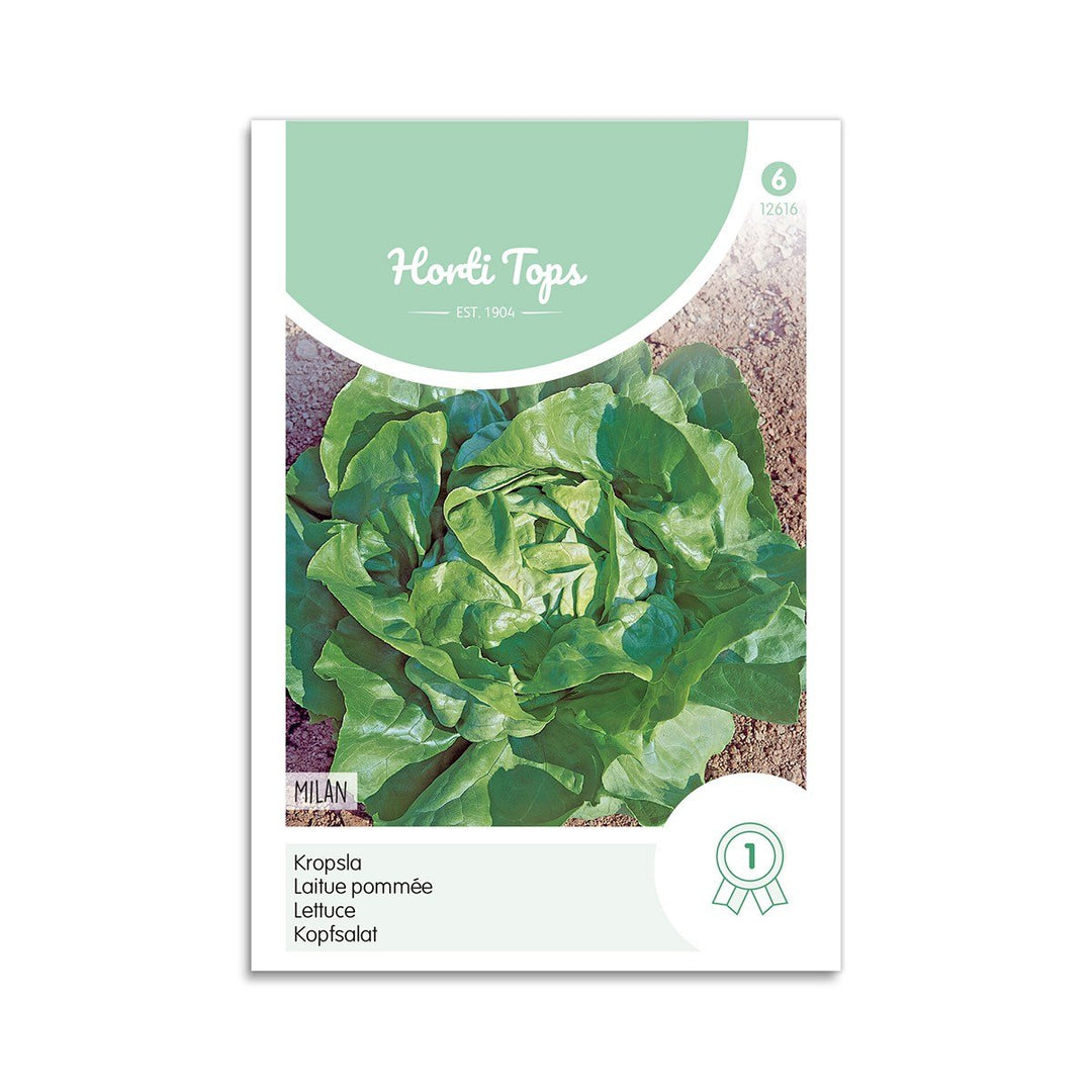 Produktbillede af Hovedsalat frø Milan Horti Tops på tilbud i høj kvalitet