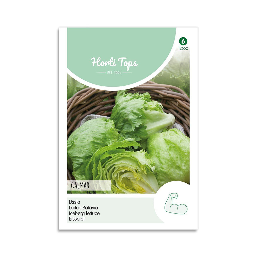 Produktbillede af Salat Iceberg frø Calmar Horti Tops på tilbud i høj kvalitet