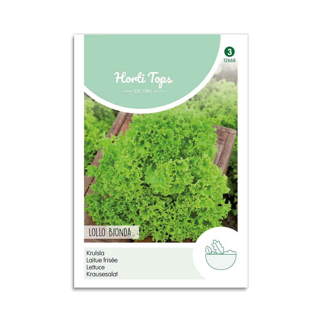 Produktbillede af Krølsalat frø Lollo Bionda Horti Tops på tilbud i høj kvalitet