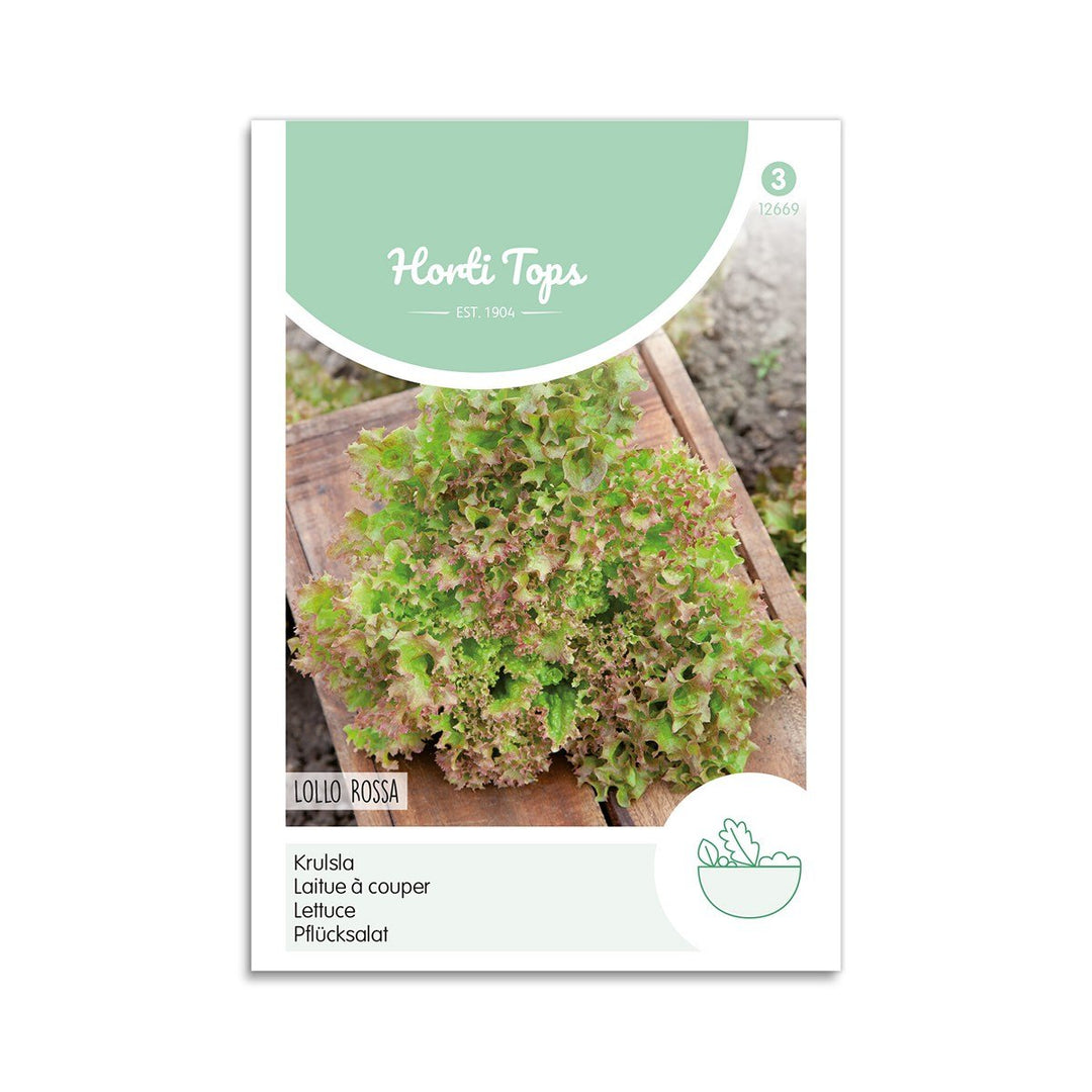 Produktbillede af Salat frø Lollo Rossa Horti Tops på tilbud i høj kvalitet