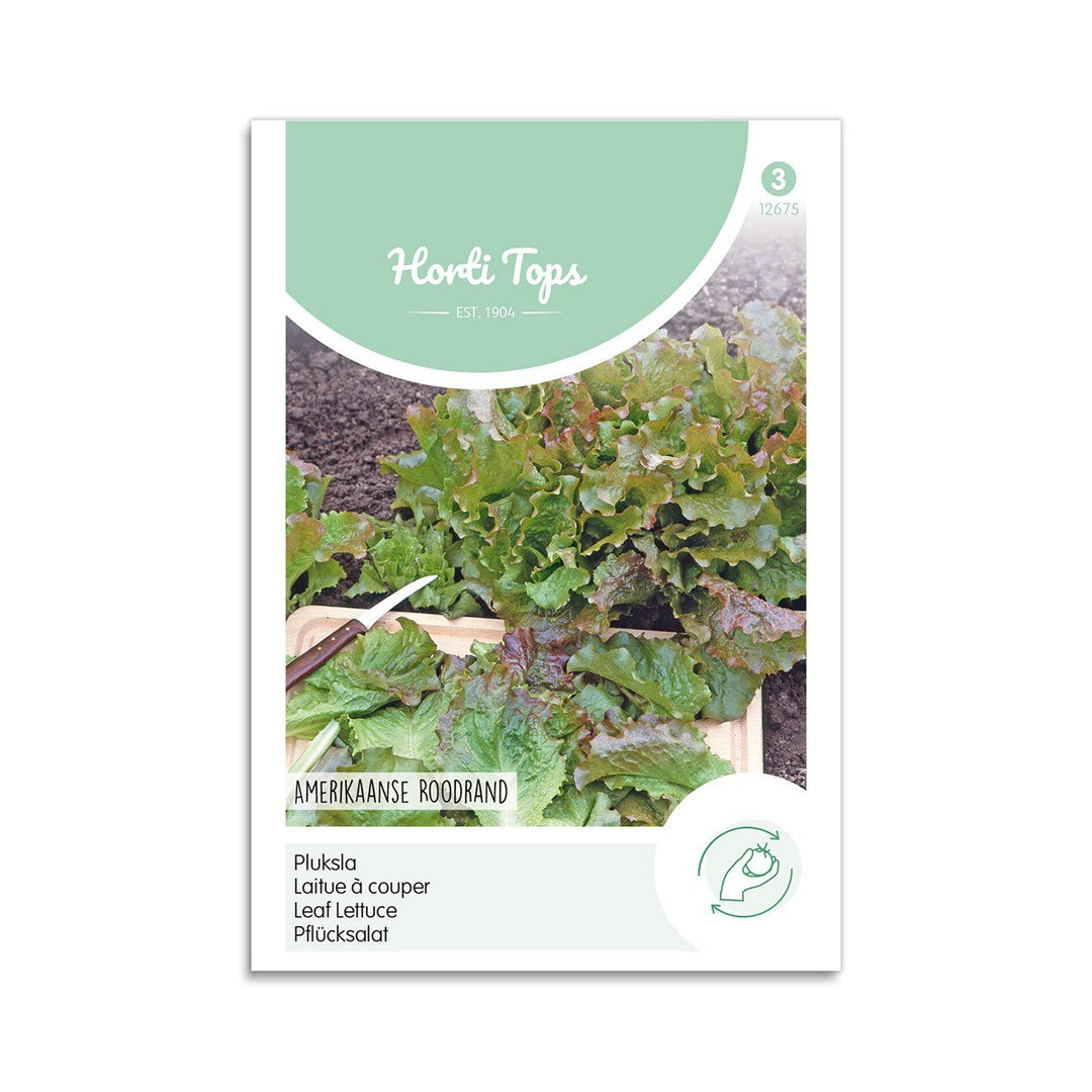 Produktbillede af Salat frø Amerikaanse Roodrand Horti Tops på tilbud i høj kvalitet