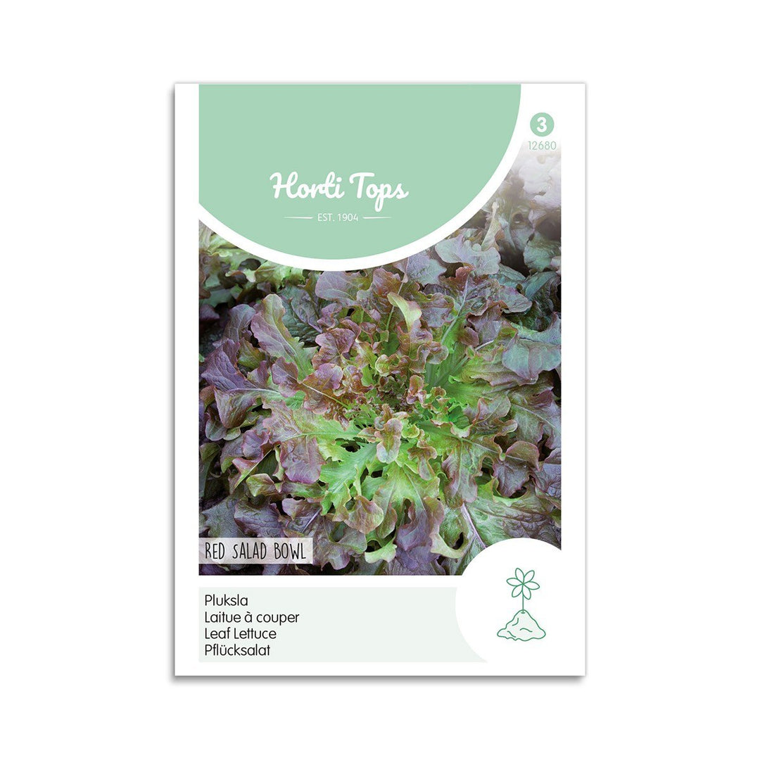 Produktbillede af Salat frø Red Salad Bowl Horti Tops på tilbud i høj kvalitet