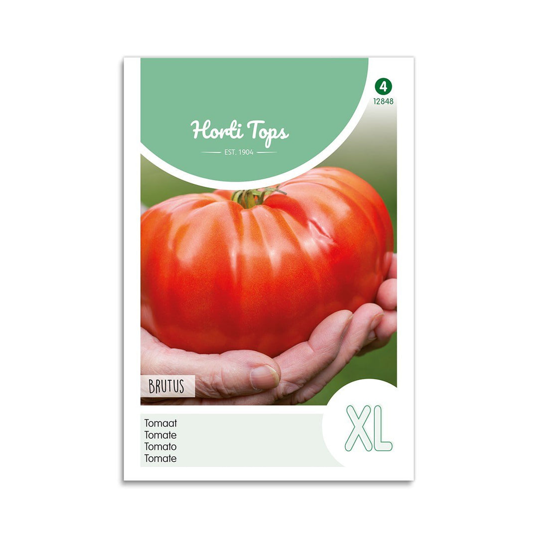 Produktbillede af Bøftomat frø Brutus Horti Tops på tilbud i høj kvalitet