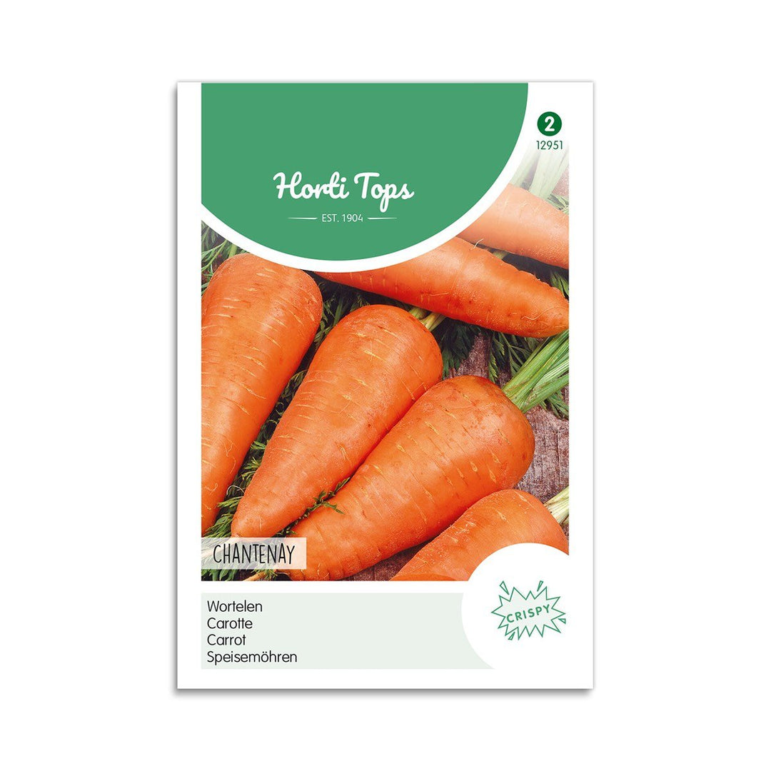 Produktbillede af Gulerods frø Chantenay Horti Tops på tilbud i høj kvalitet