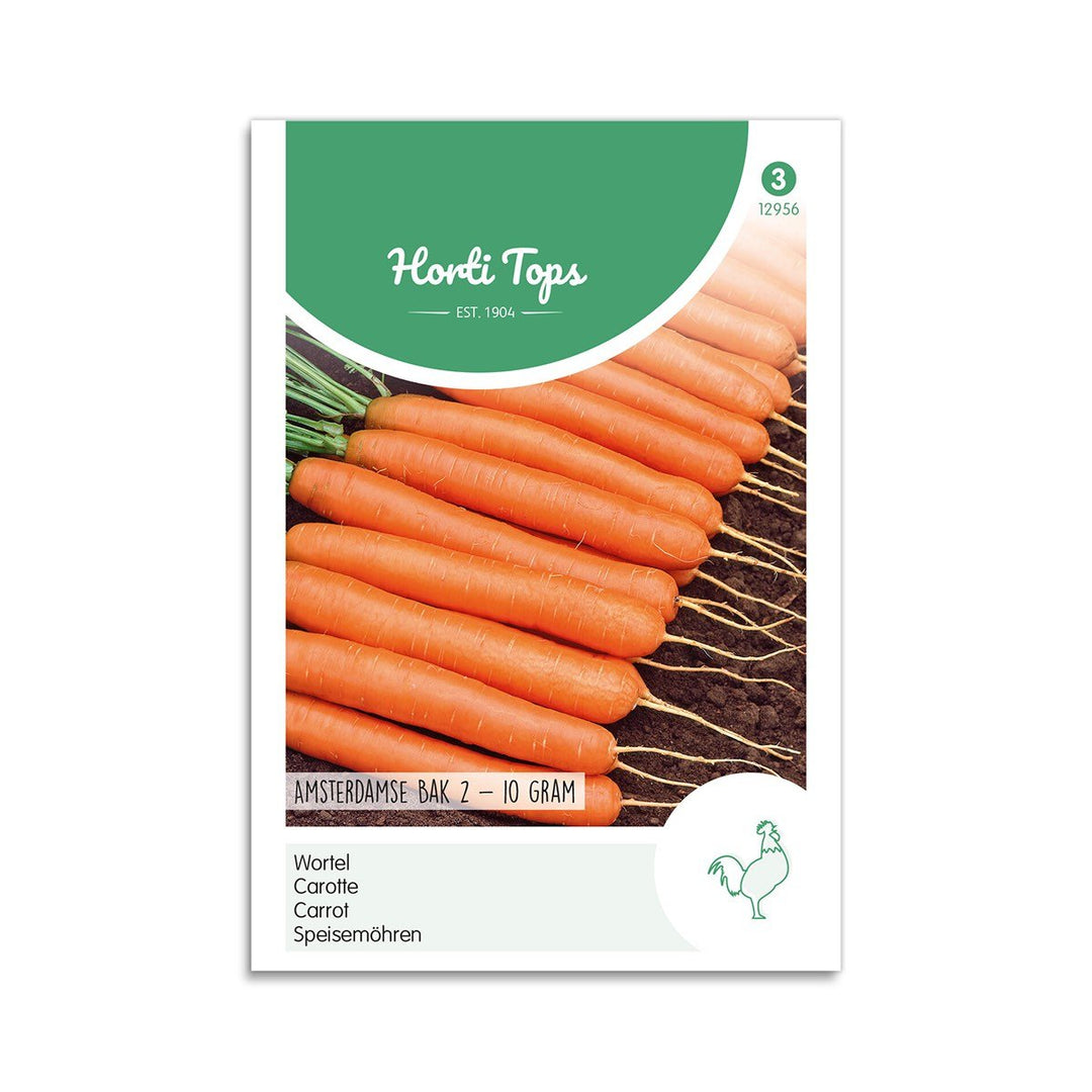 Produktbillede af Gulerod frø Amsterdam 2 Horti Tops på tilbud i høj kvalitet