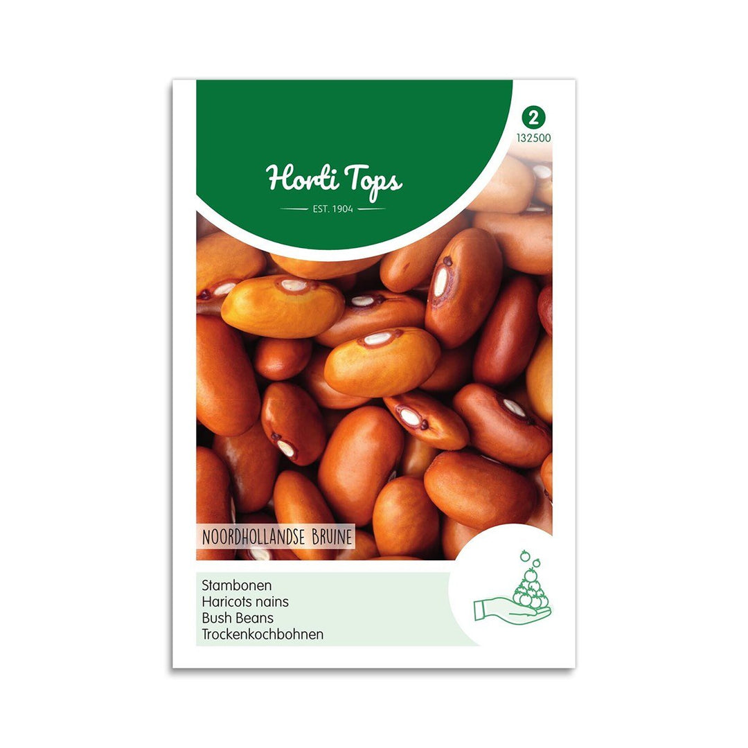 Produktbillede af Buskbønne frø Brown Dutch Horti Tops på tilbud i høj kvalitet