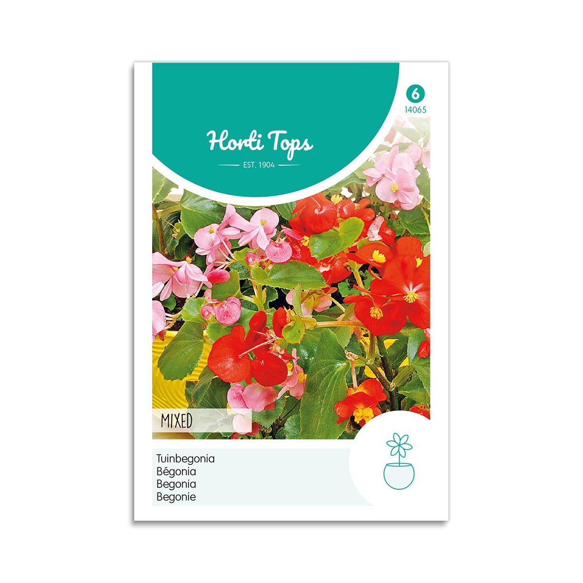 Produktbillede af Begonie frø mix Horti Tops på tilbud i høj kvalitet