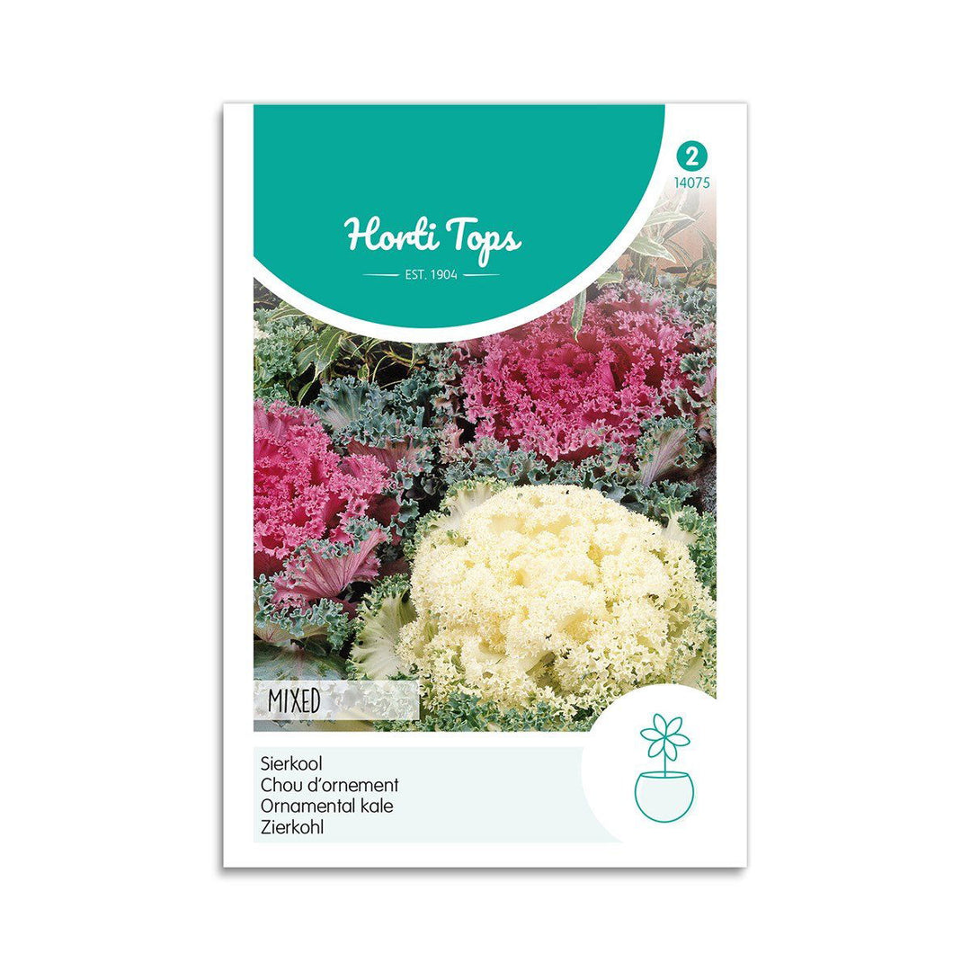 Produktbillede af Pyntekål mix Horti Tops på tilbud i høj kvalitet