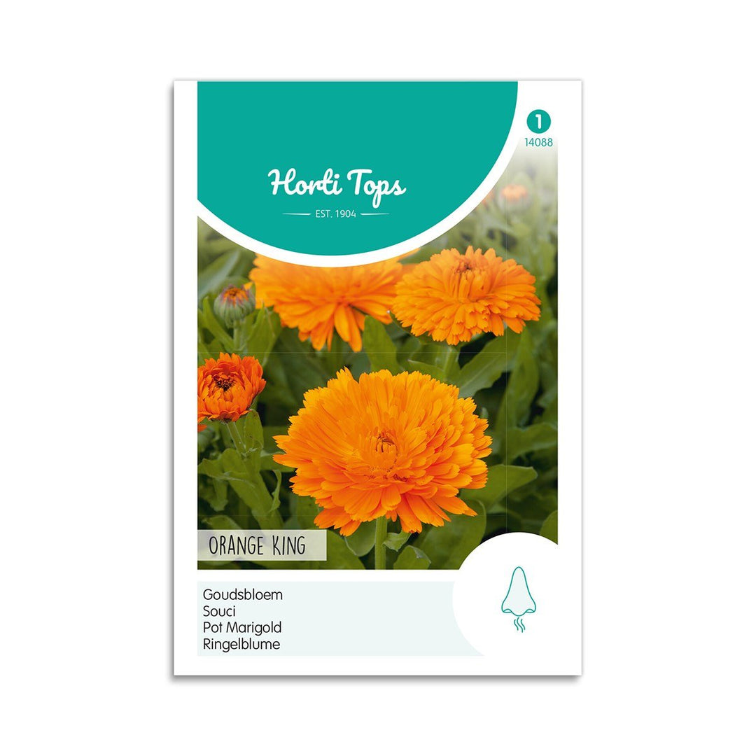 Produktbillede af Morgenfrue frø Orange King Horti Tops på tilbud i høj kvalitet