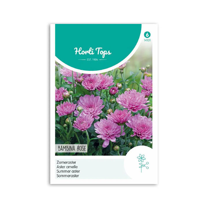 Sommer Asters frø Bambina Rose Horti Tops