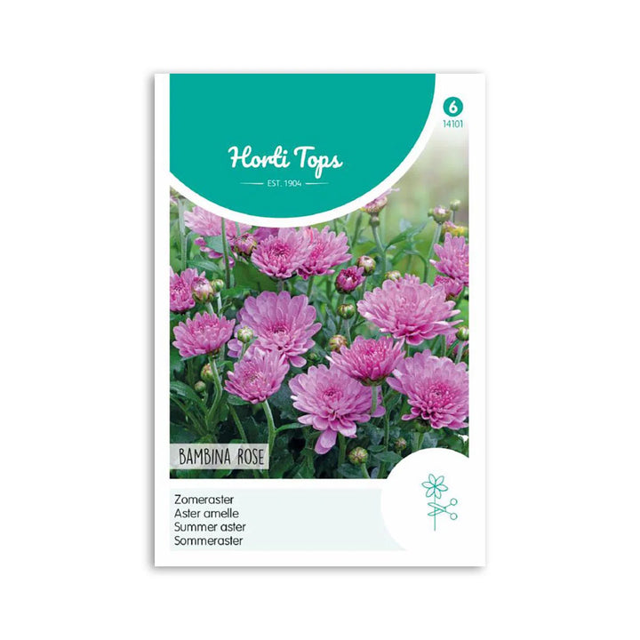 Sommer Asters frø Bambina Rose Horti Tops