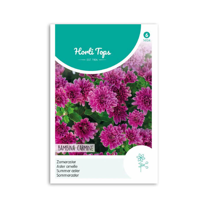 Sommer Asters frø Bambina Carmine Horti Tops