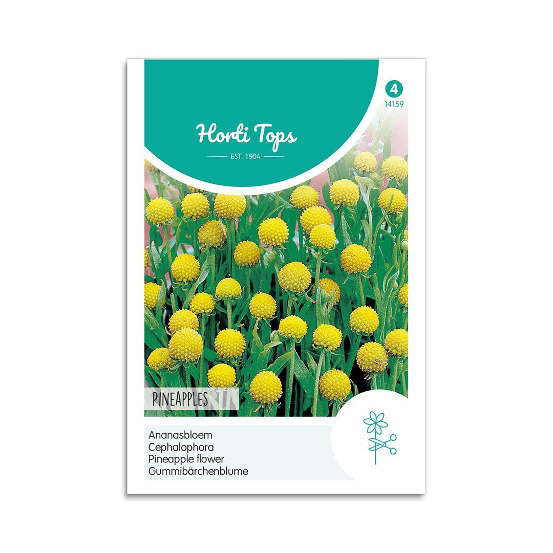 Produktbillede af Trommestik frø Pineapples Horti Tops på tilbud i høj kvalitet