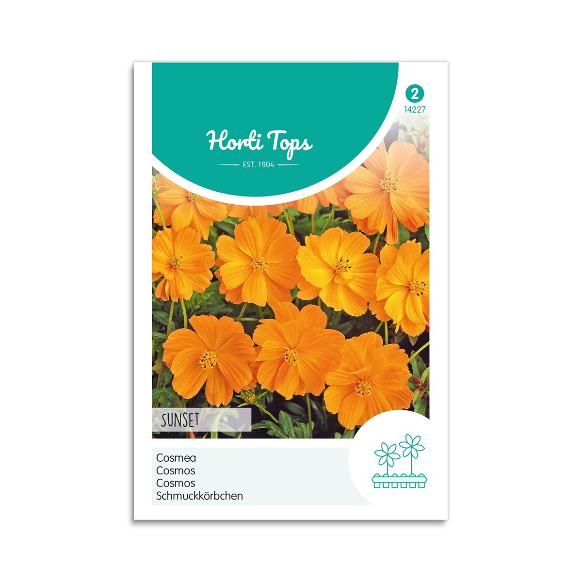 Produktbillede af Stolt kavaler frø Sunset Horti Tops på tilbud i høj kvalitet