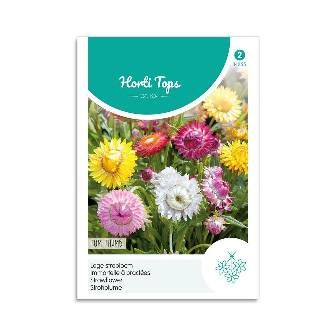 Produktbillede af Evighedsblomster frø Tom Thumb Horti Tops på tilbud i høj kvalitet
